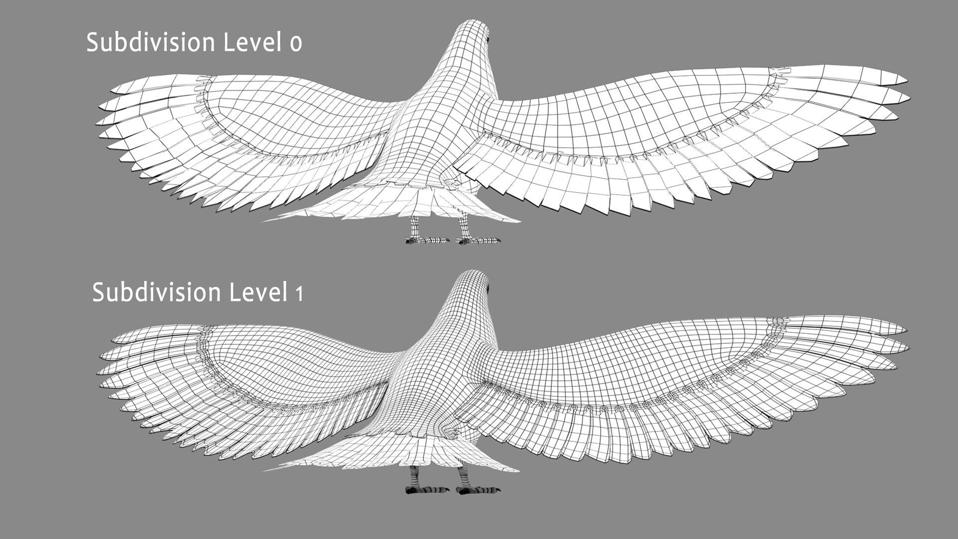 Pigeon A - Flight 3D model_15