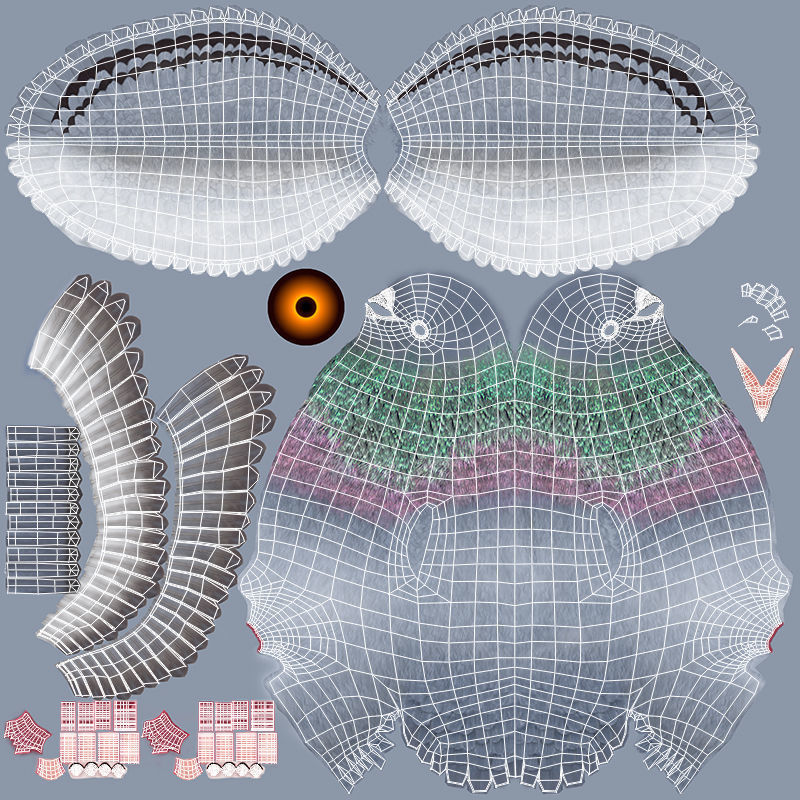 Pigeon A - Flight 3D model_17