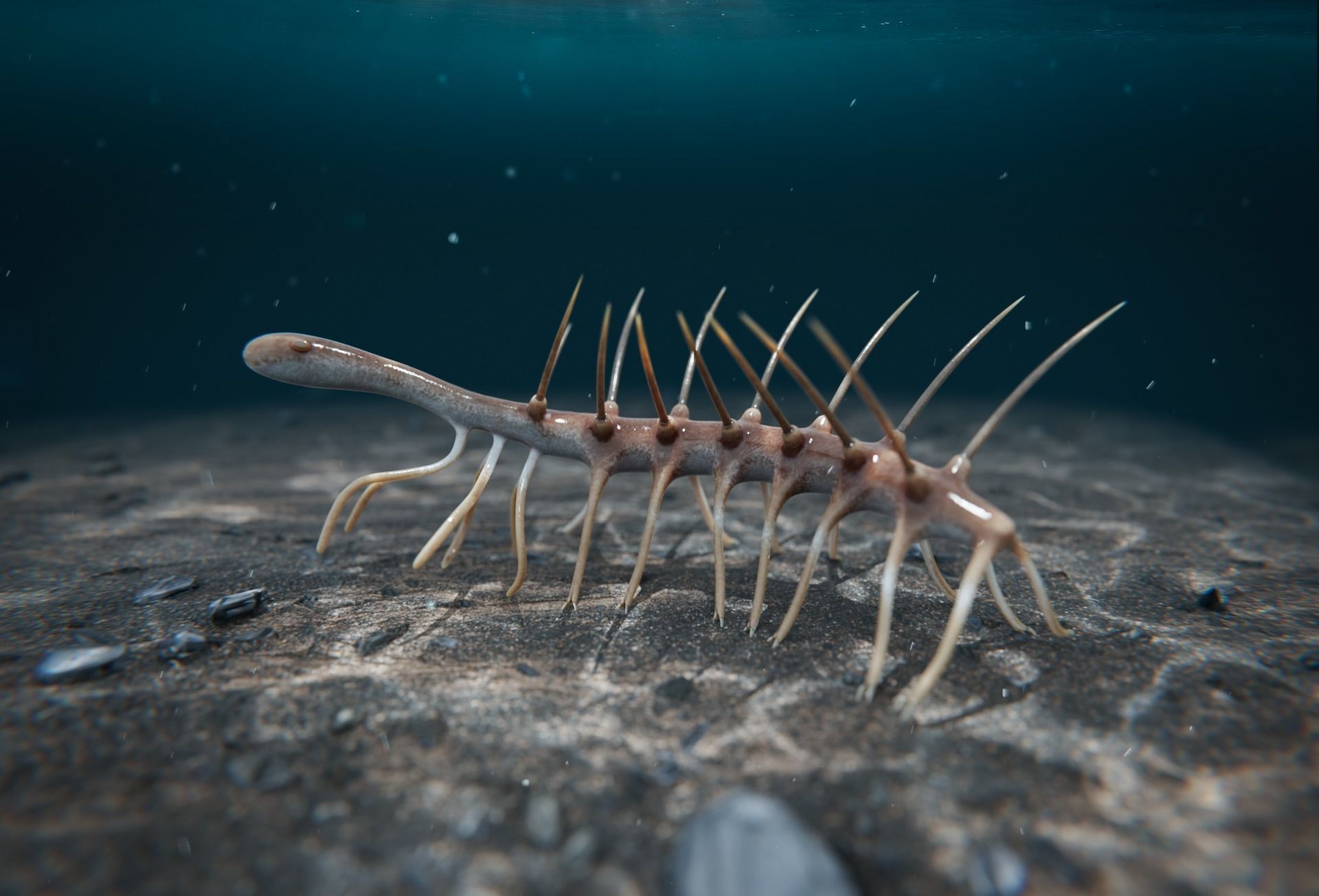 Hallucigenia Free low-poly 3D model_27