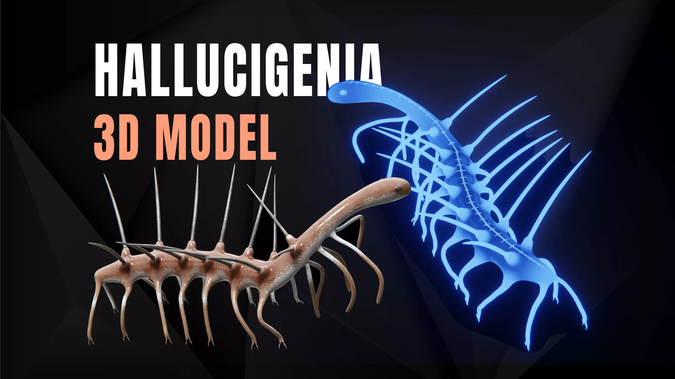Hallucigenia Free low-poly 3D model_0