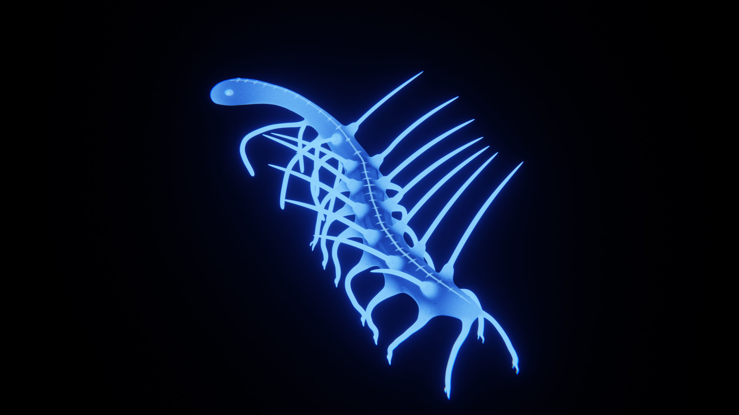 Hallucigenia Free low-poly 3D model_20