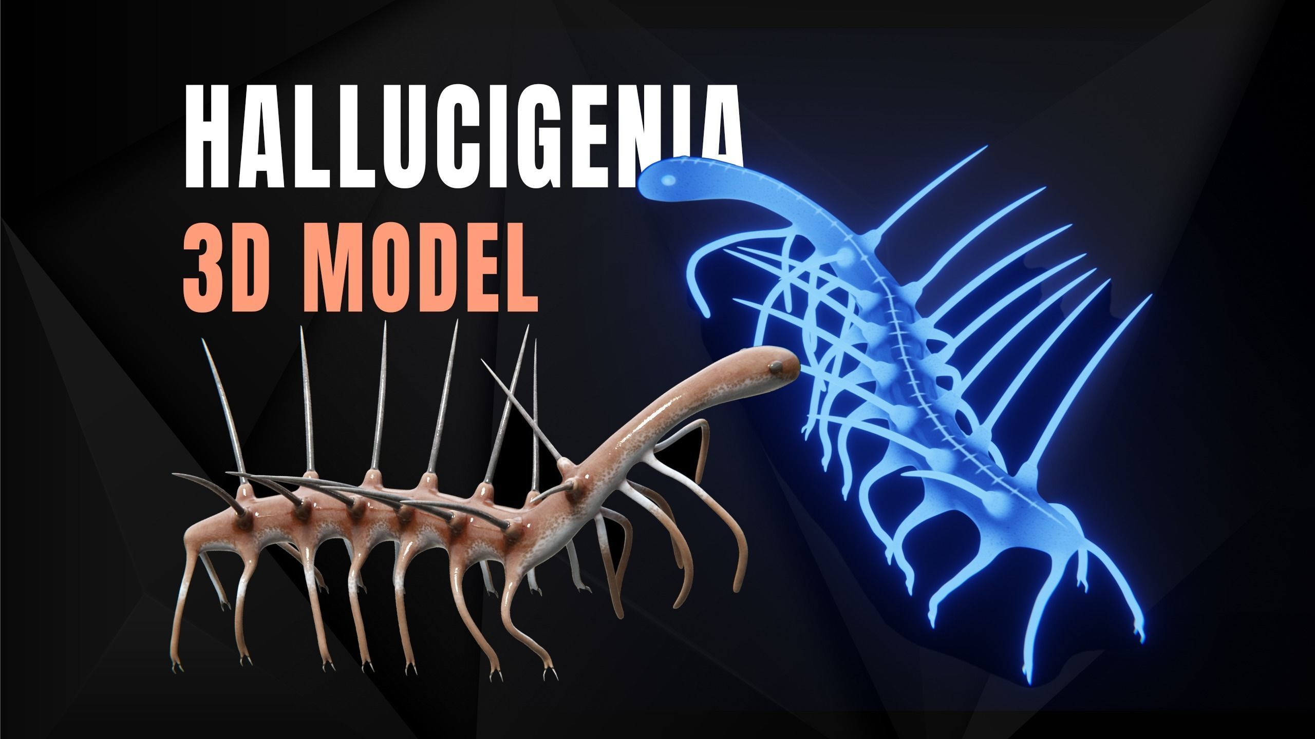 Hallucigenia Free low-poly 3D model_12
