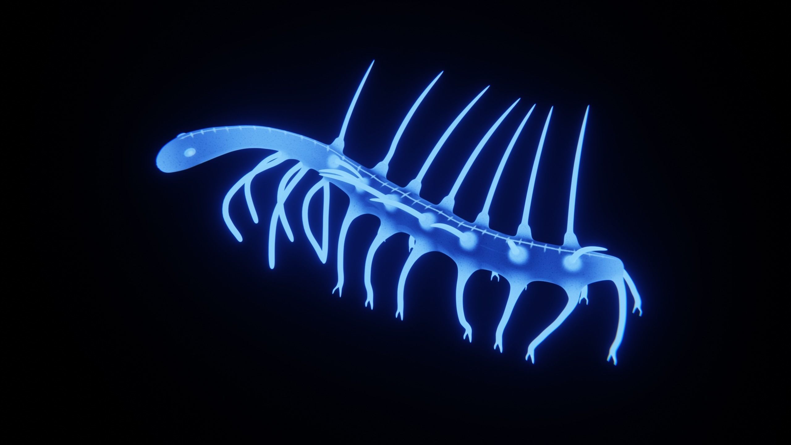 Hallucigenia Free low-poly 3D model_14