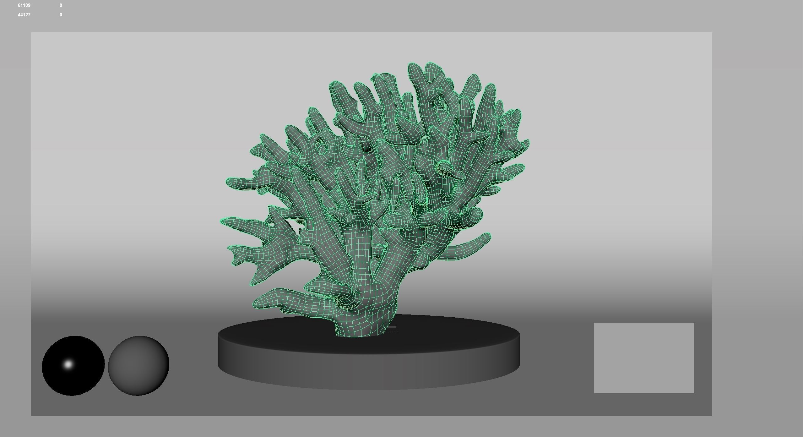 HQ Assets Coral Finger Leather CoralAC Arnold 3D model_14