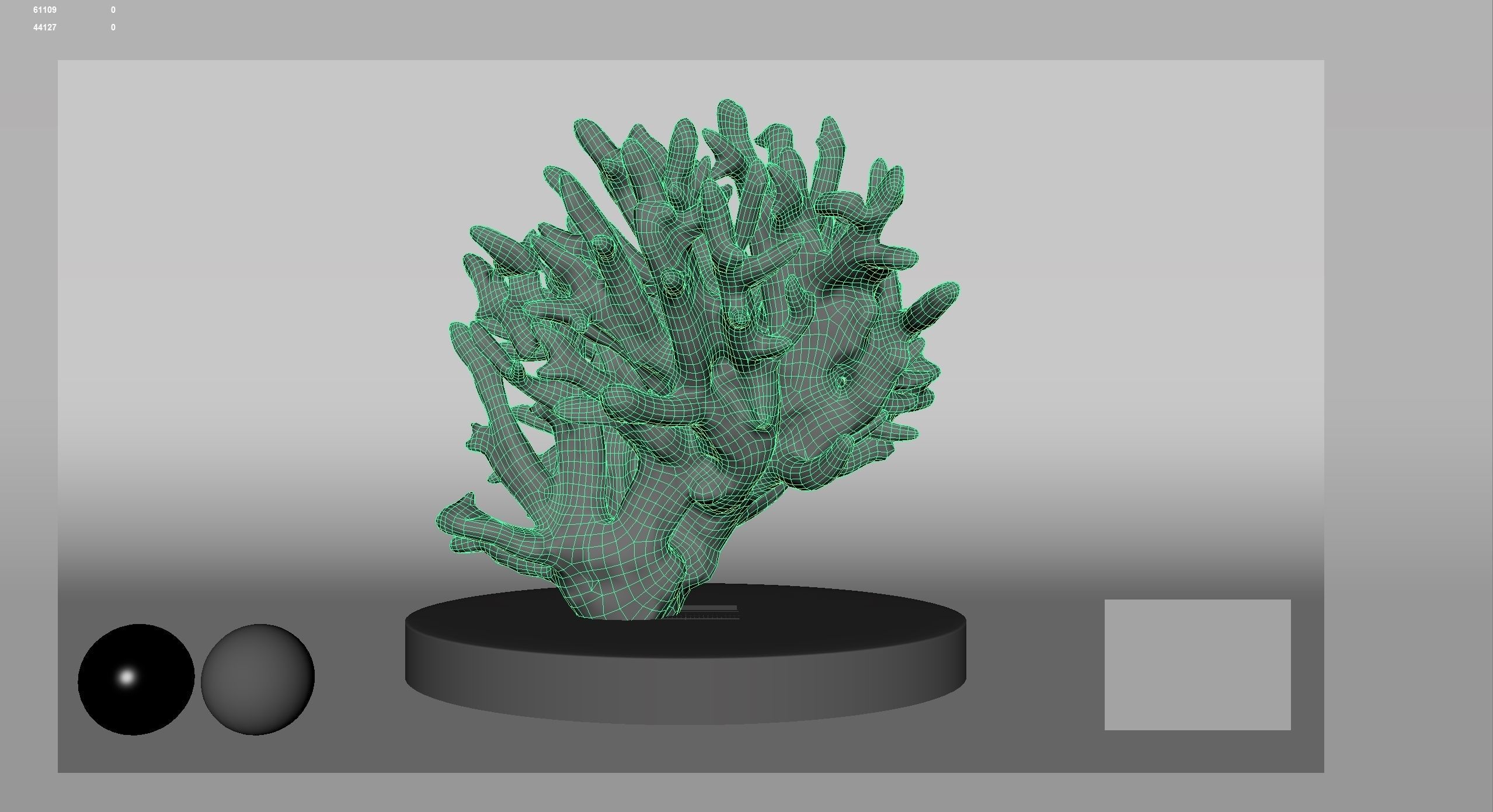 HQ Assets Coral Finger Leather CoralAC Arnold 3D model_13