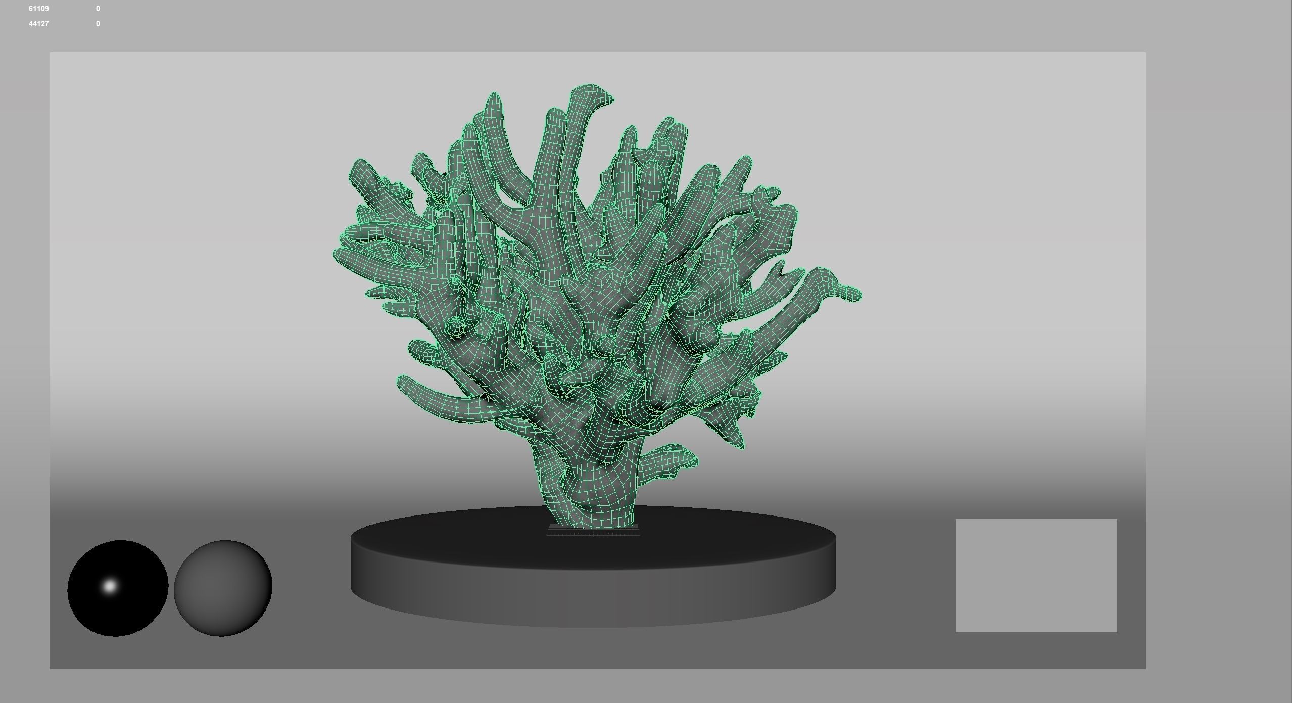 HQ Assets Coral Finger Leather CoralAC Arnold 3D model_11