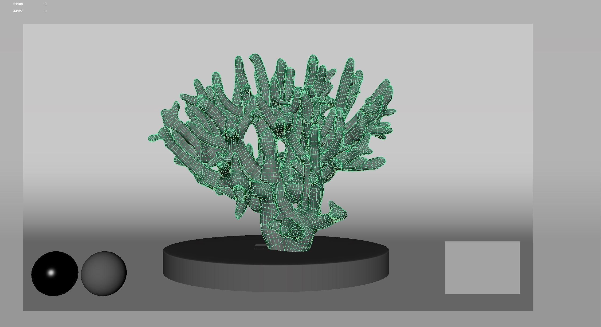 HQ Assets Coral Finger Leather CoralAC Arnold 3D model_16