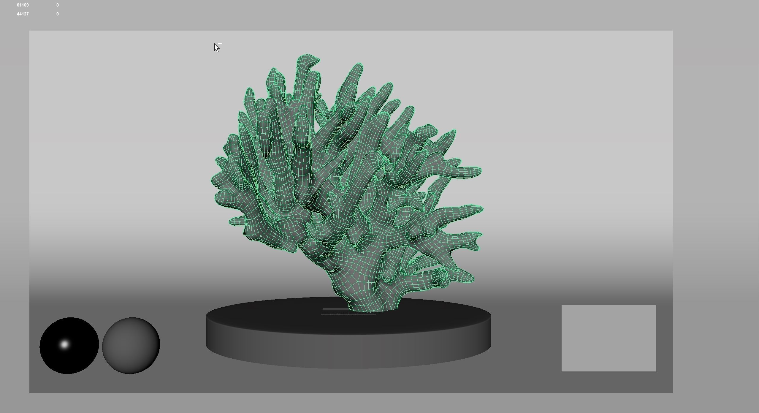 HQ Assets Coral Finger Leather CoralAC Arnold 3D model_9