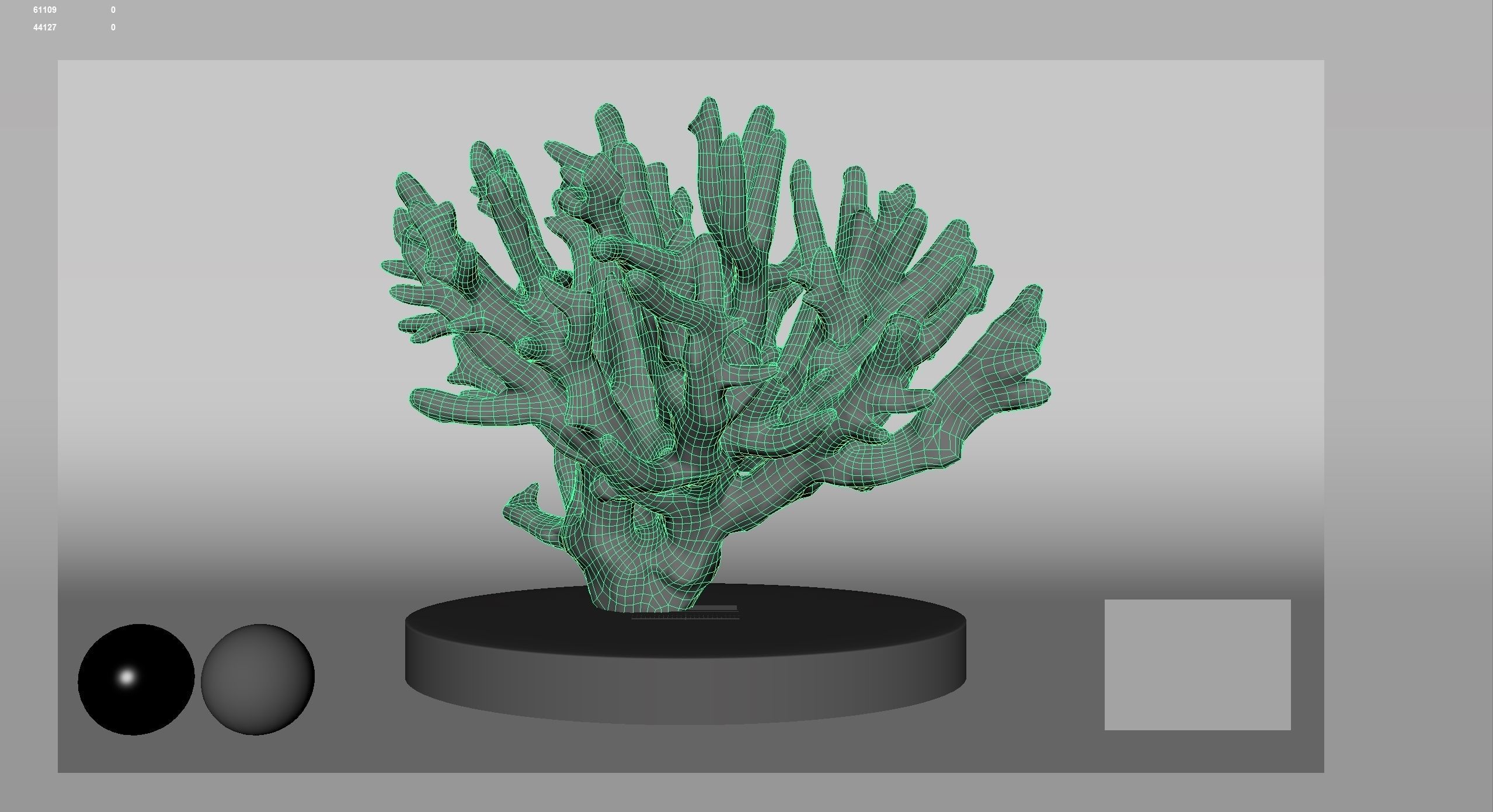 HQ Assets Coral Finger Leather CoralAC Arnold 3D model_12