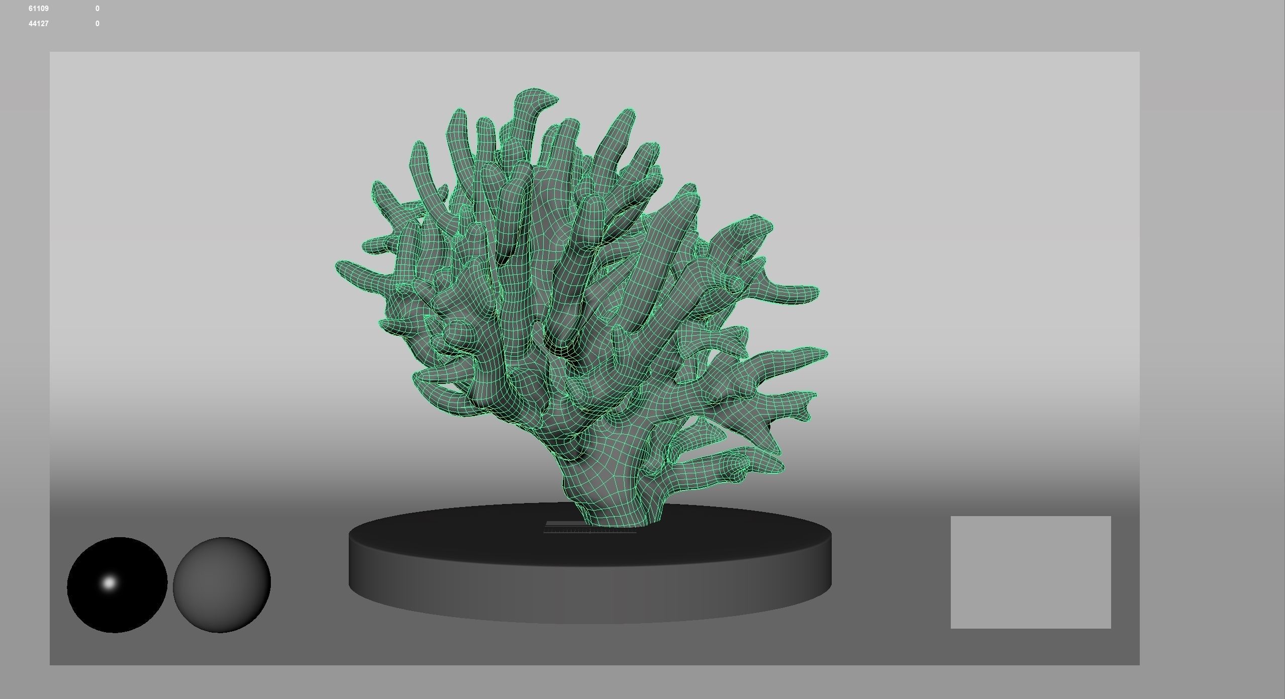 HQ Assets Coral Finger Leather CoralAC Arnold 3D model_10