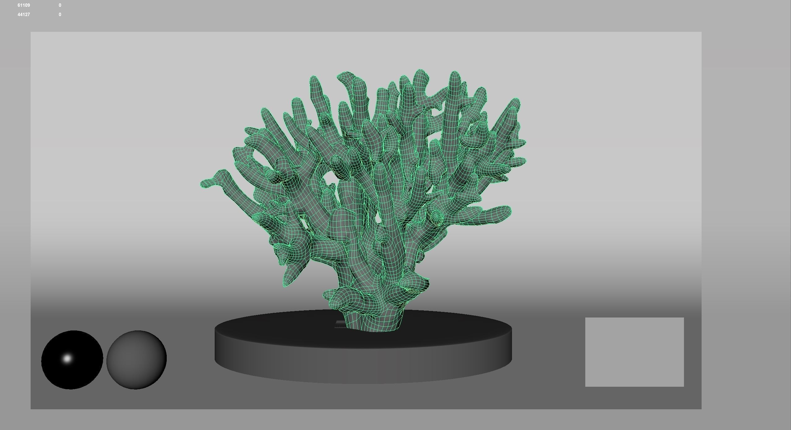 HQ Assets Coral Finger Leather CoralAC Arnold 3D model_15