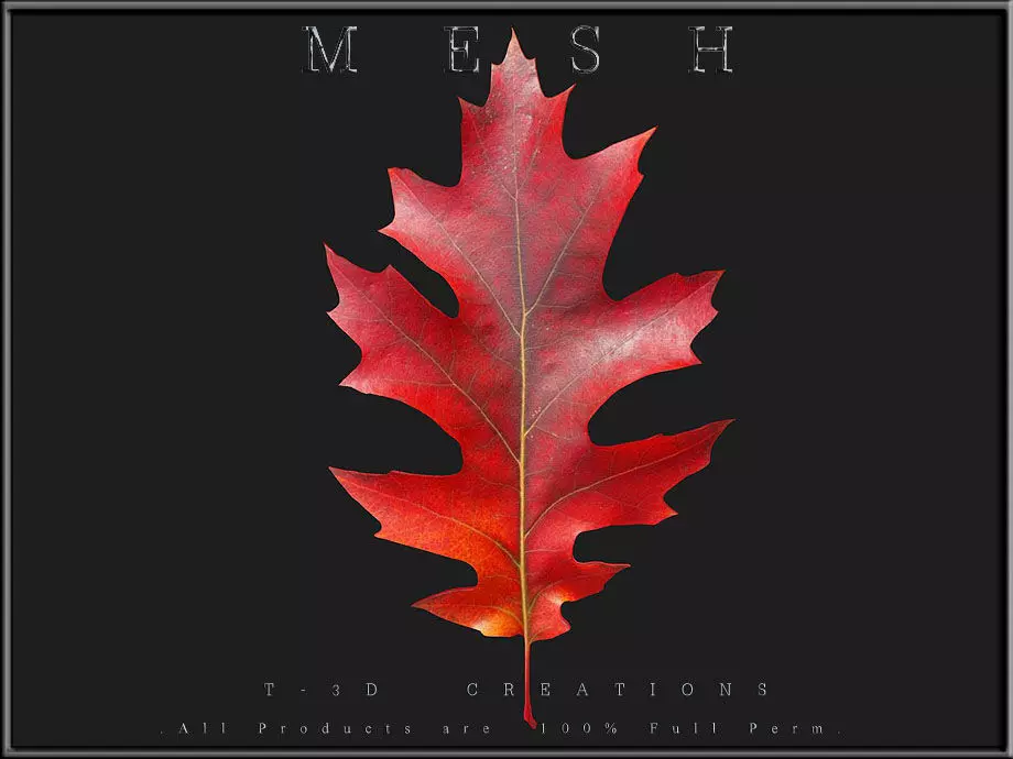 Red Leaf Low-poly 3D model_0