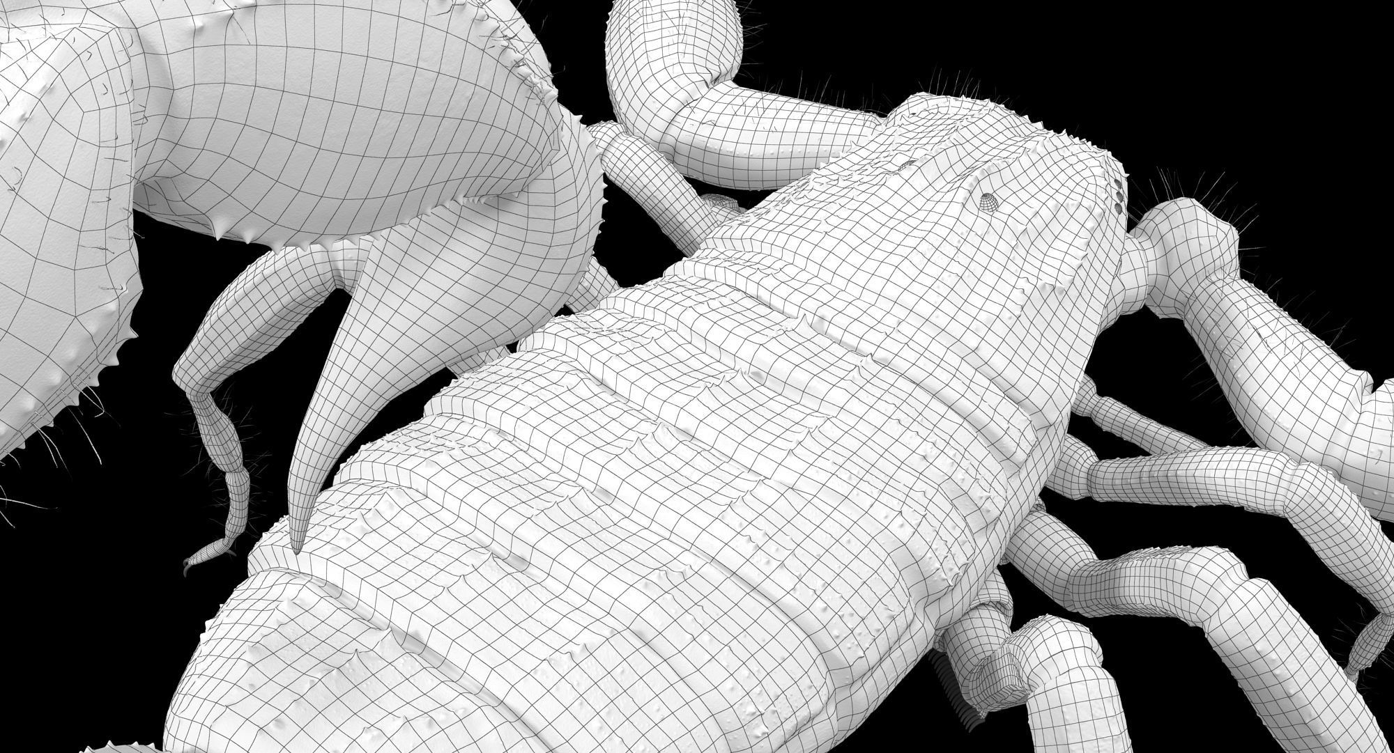 Scorpion Brown Low-poly 3D model_21