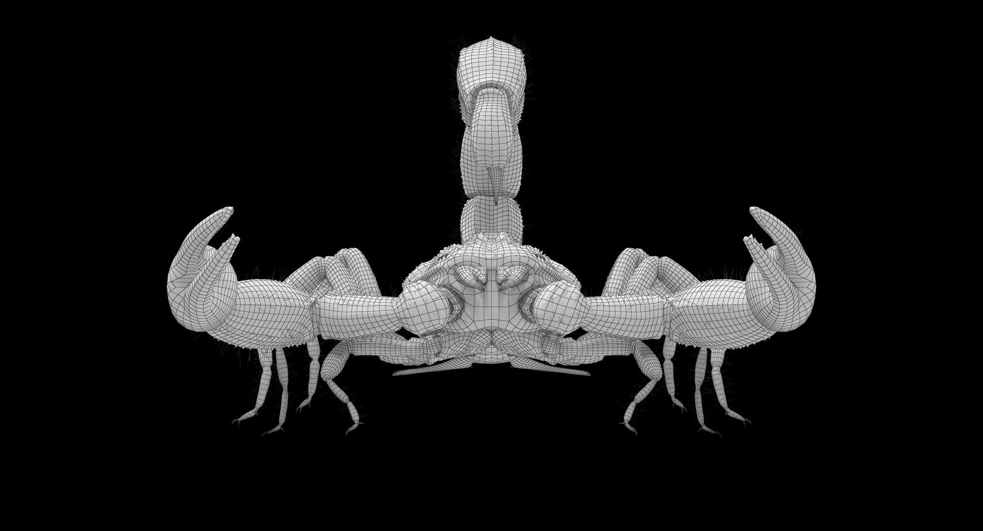 Scorpion Brown Low-poly 3D model_18