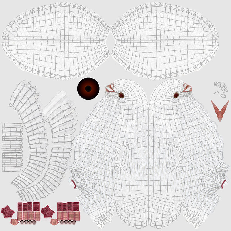 Dove - Flight 3D model_18