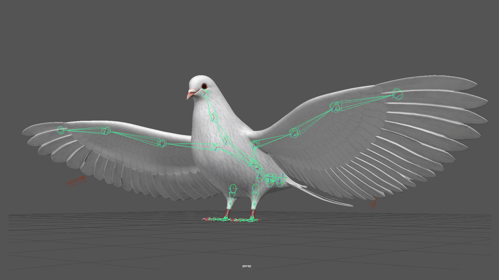 Dove - Flight 3D model_17