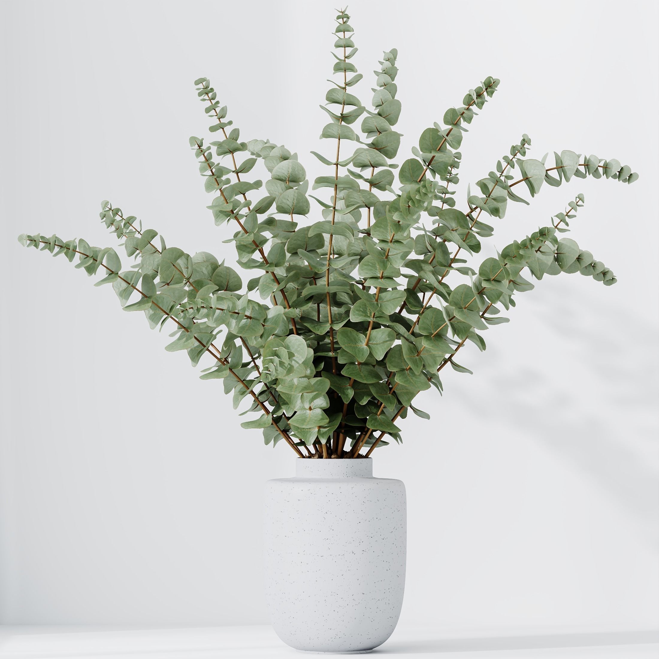 Branche Decorative Foliage Dollar Authentic Eucalyptus Bouquet02 3D model_3