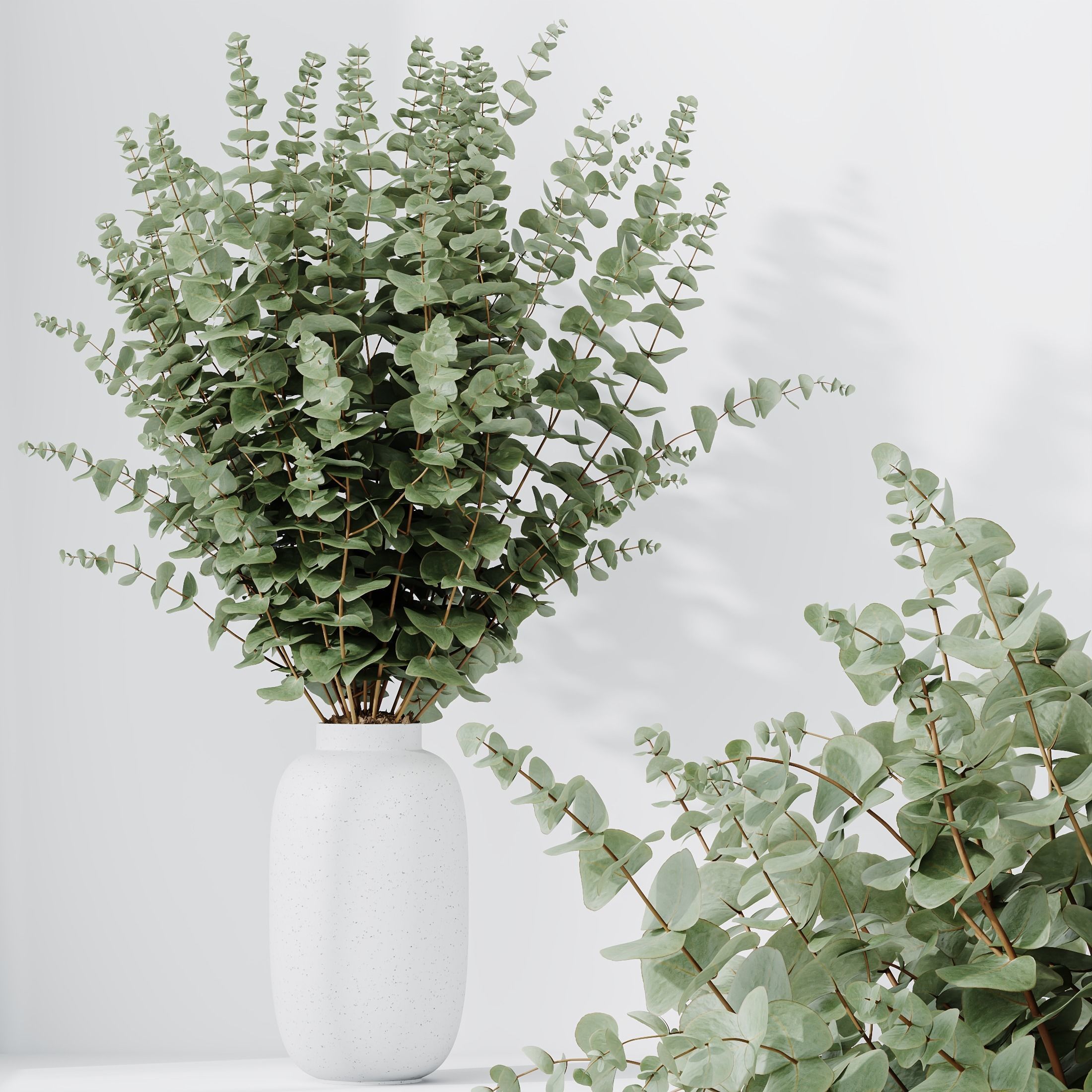 Branche Decorative Foliage Dollar Authentic Eucalyptus Bouquet02 3D model_2