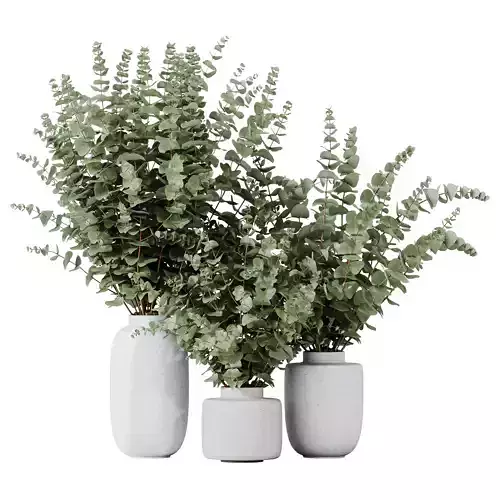 Branche Decorative Foliage Dollar Authentic Eucalyptus Bouquet02 3D model