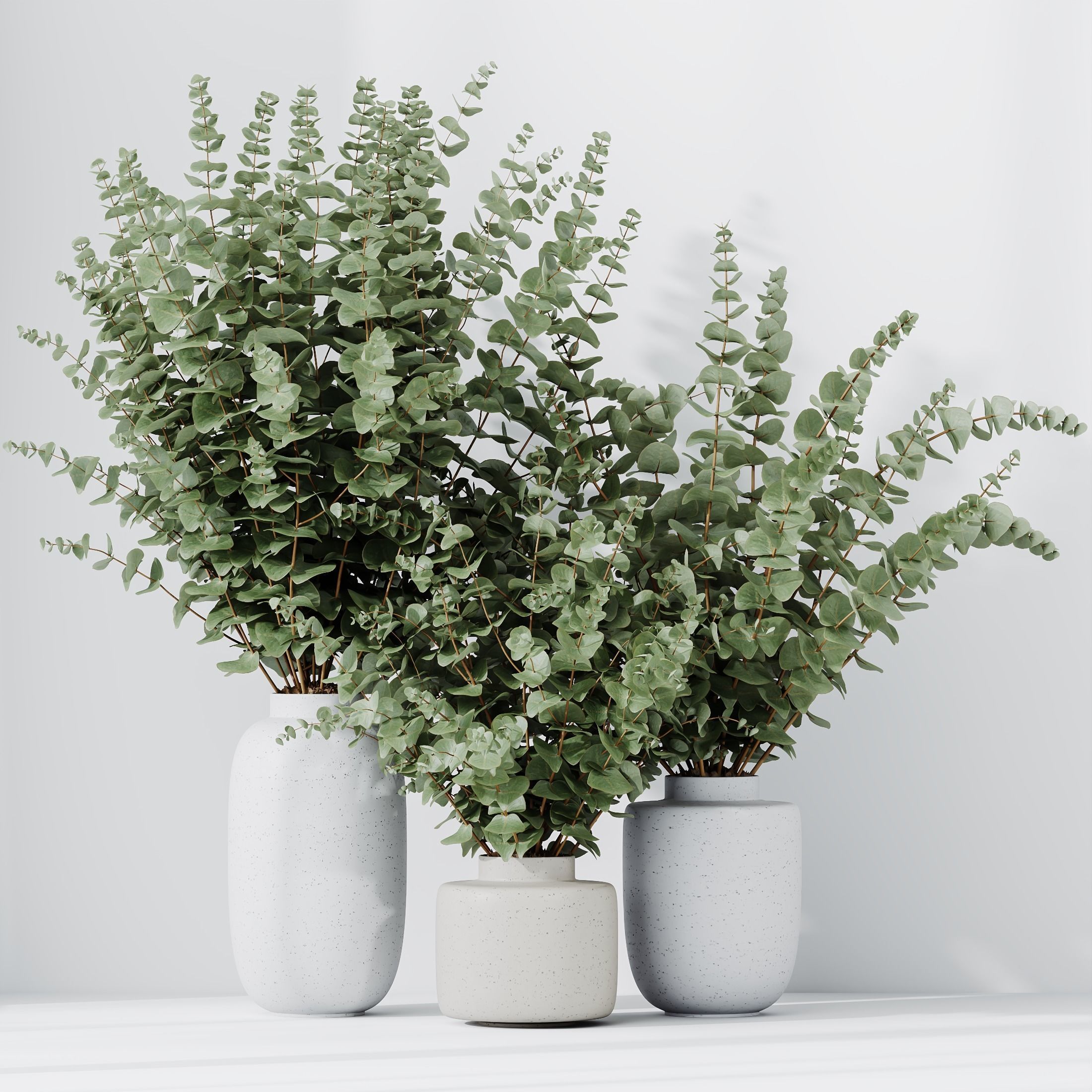 Branche Decorative Foliage Dollar Authentic Eucalyptus Bouquet02 3D model_4