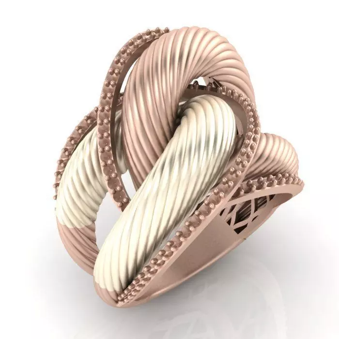 Rope ring 3D print model
