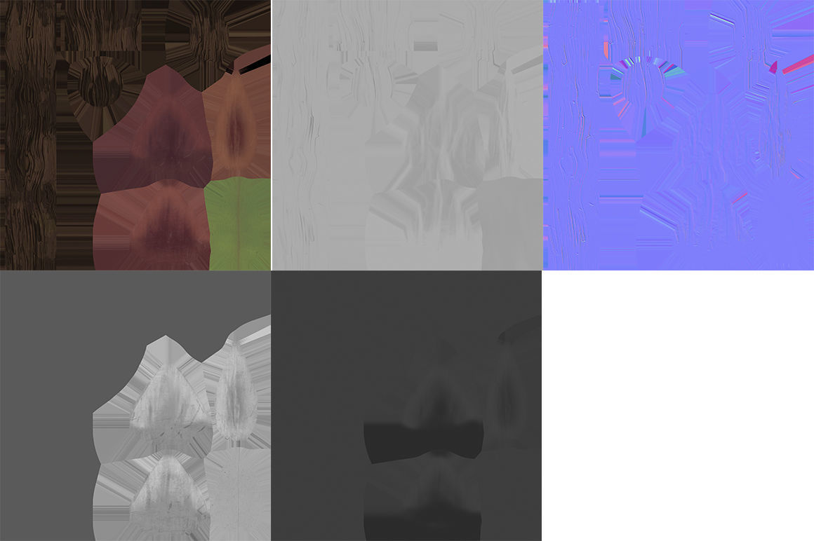 Conifer cone 3D model_7