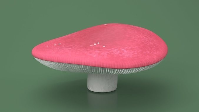 Edible Mushrooms Collection 4 3D Model Pack 6