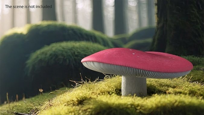 Edible Mushrooms Collection 4 3D Model Pack 2