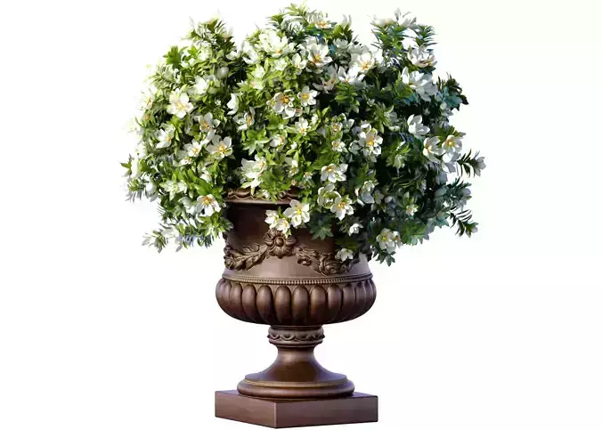 Magnolia flowers Bouquet in classic vase pot flowerpot