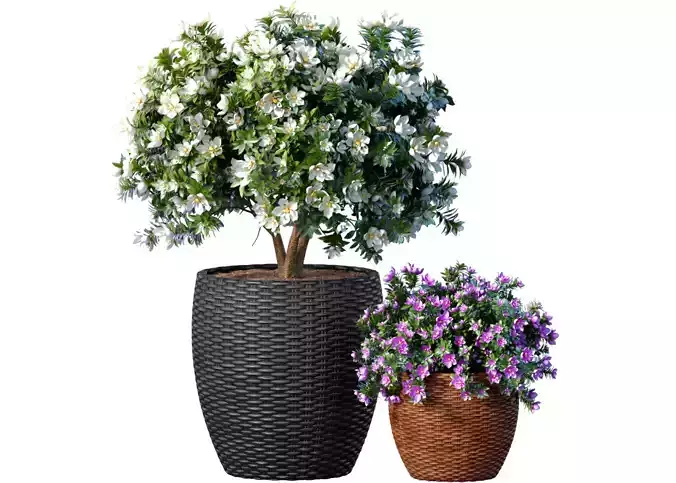 Decorative garden tree Magnolia shrub vase pot Provence style 3D model