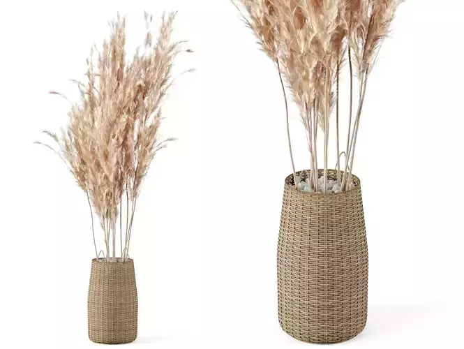 Pampas Decoration with Natural basket
