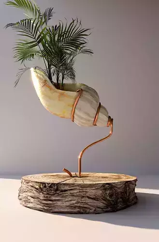 seashell decore