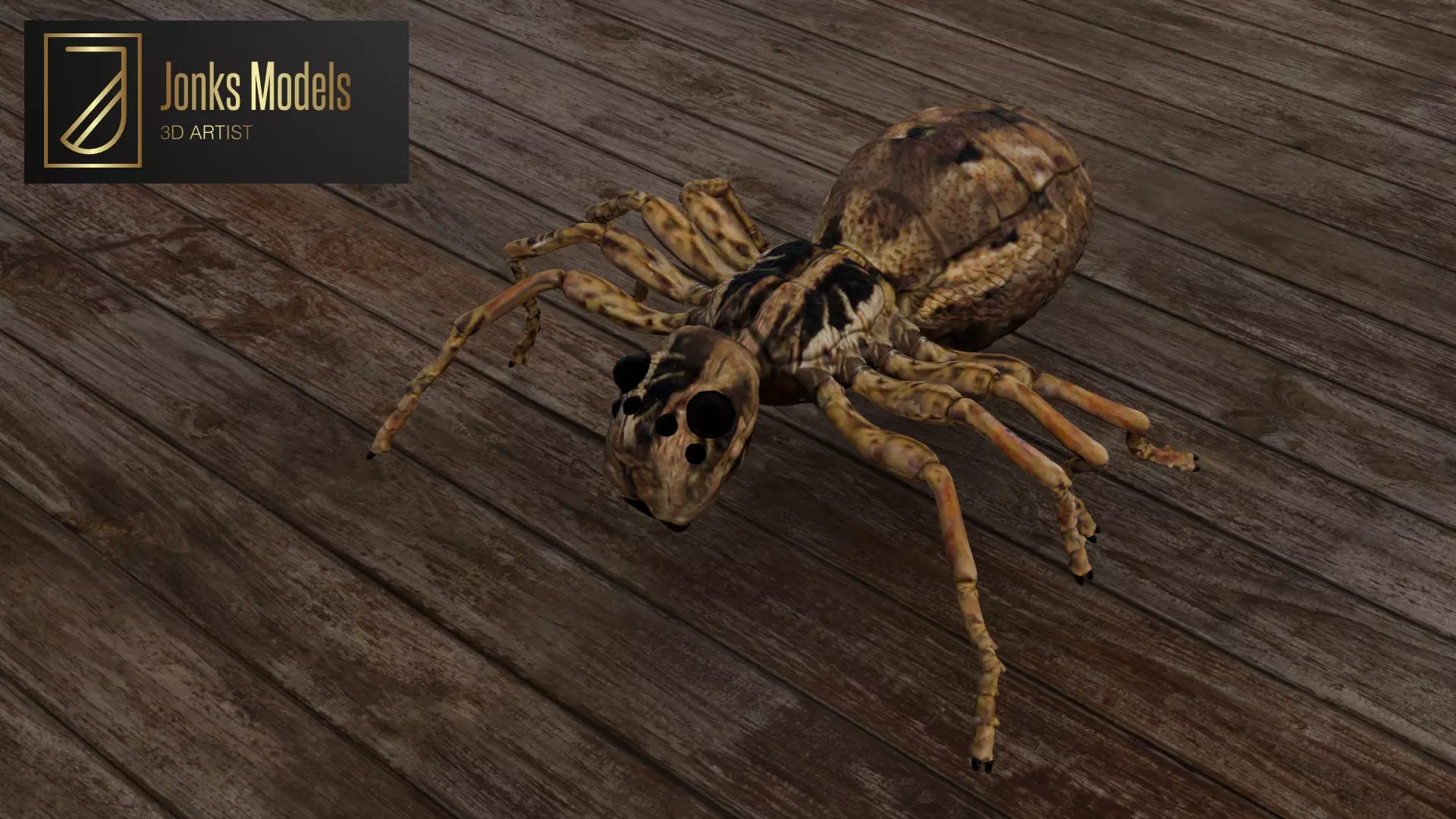 Spider Low-poly 3D model_0