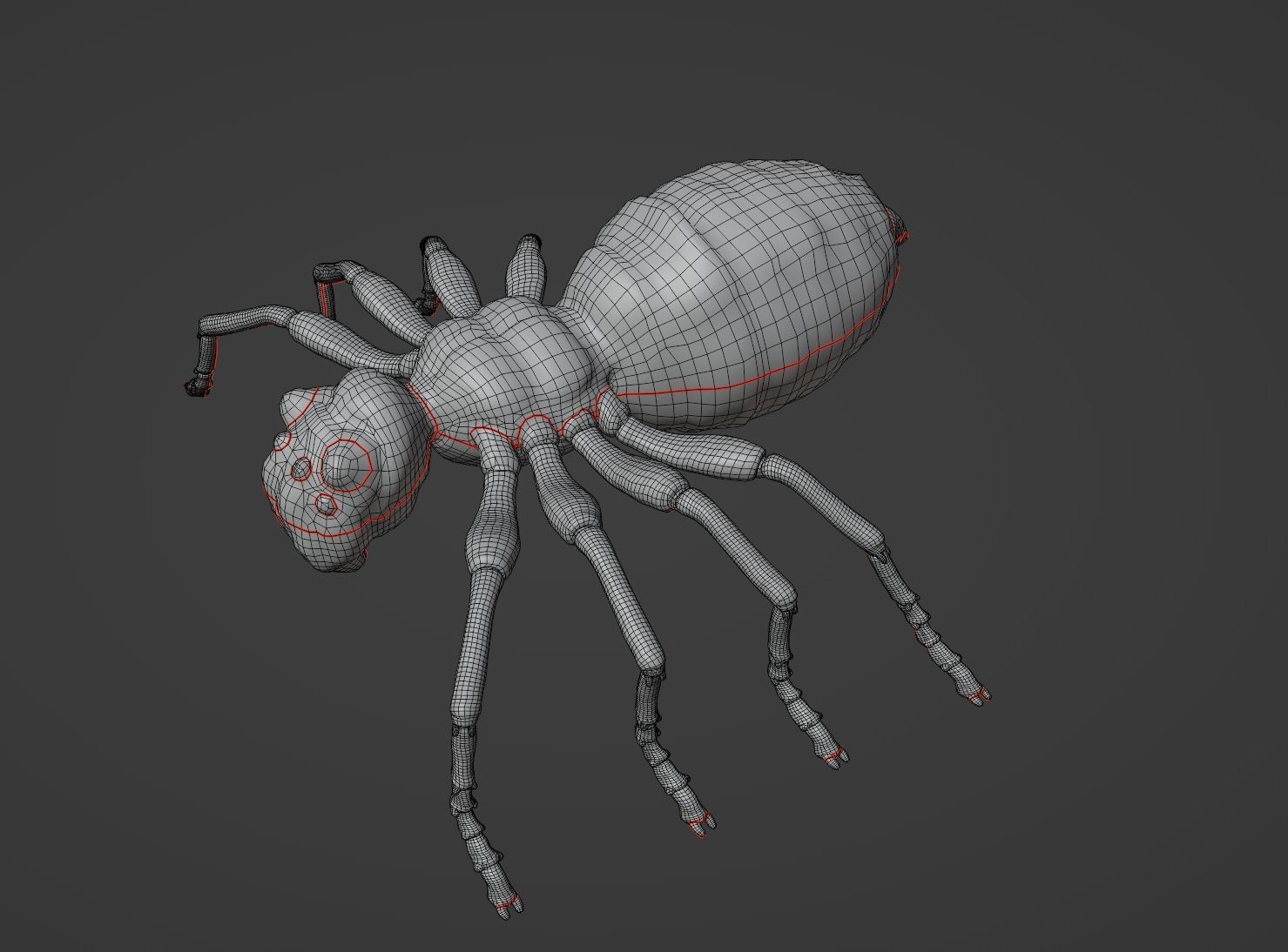 Spider Low-poly 3D model_13