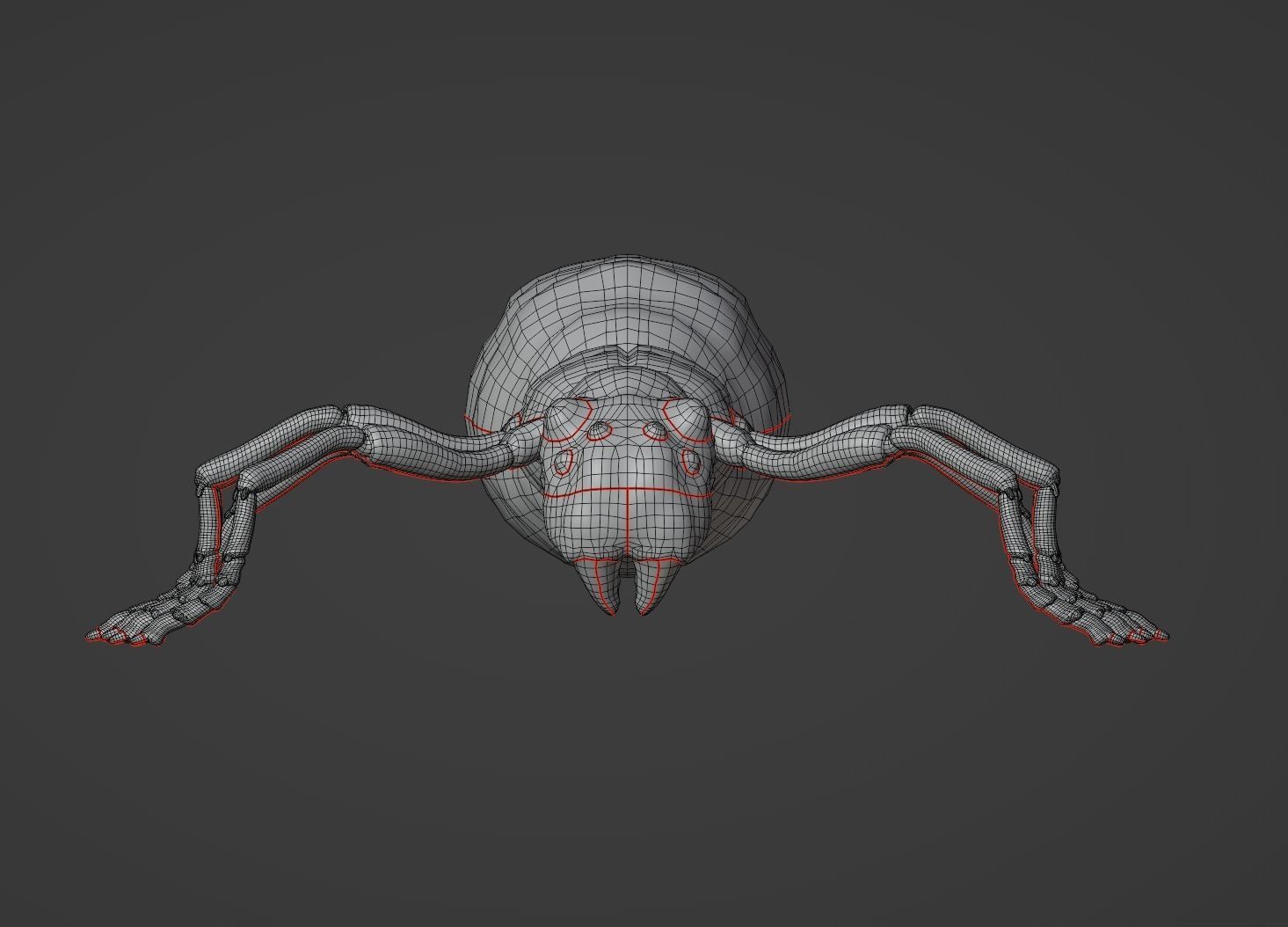 Spider Low-poly 3D model_14