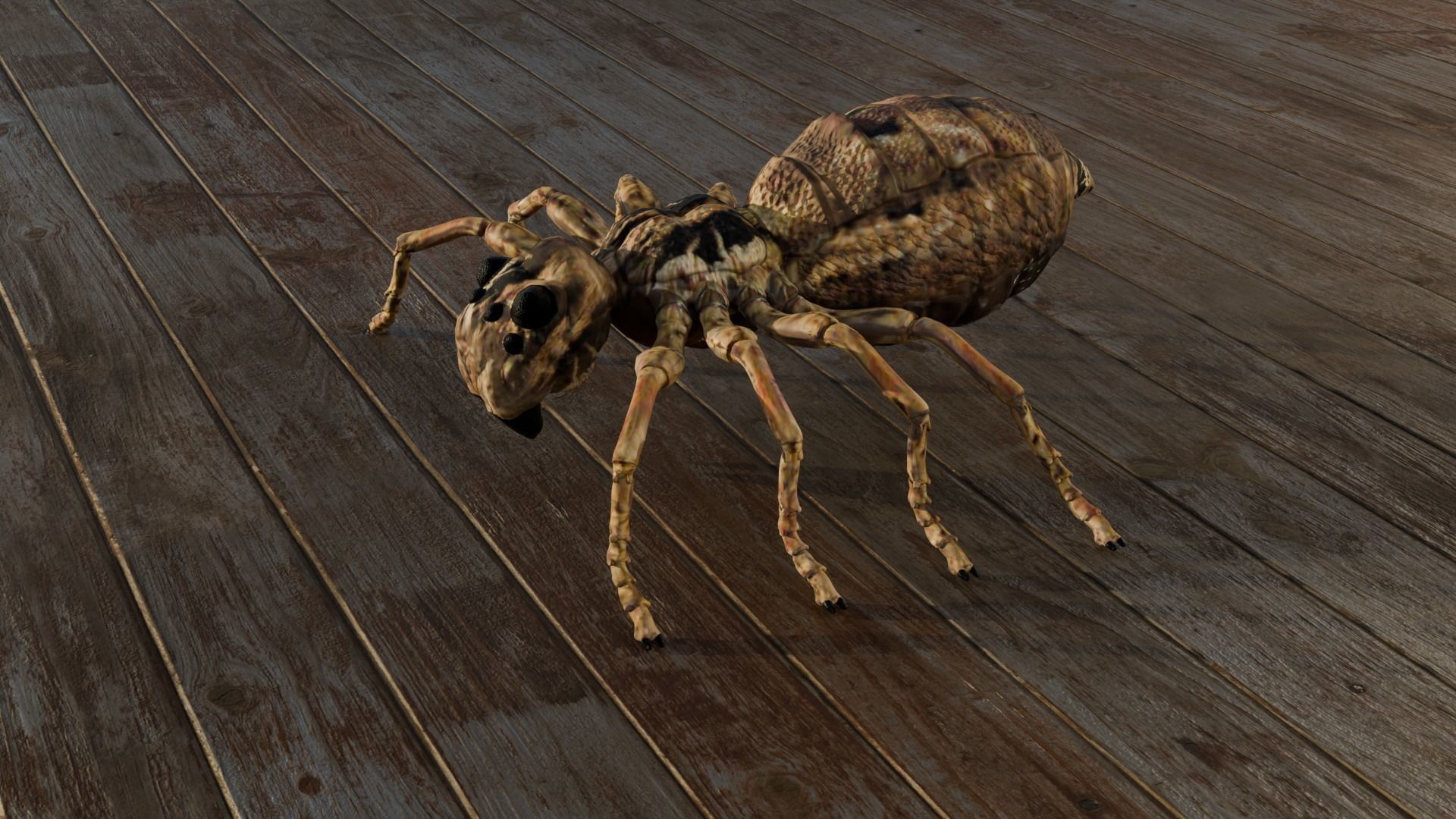 Spider Low-poly 3D model_3