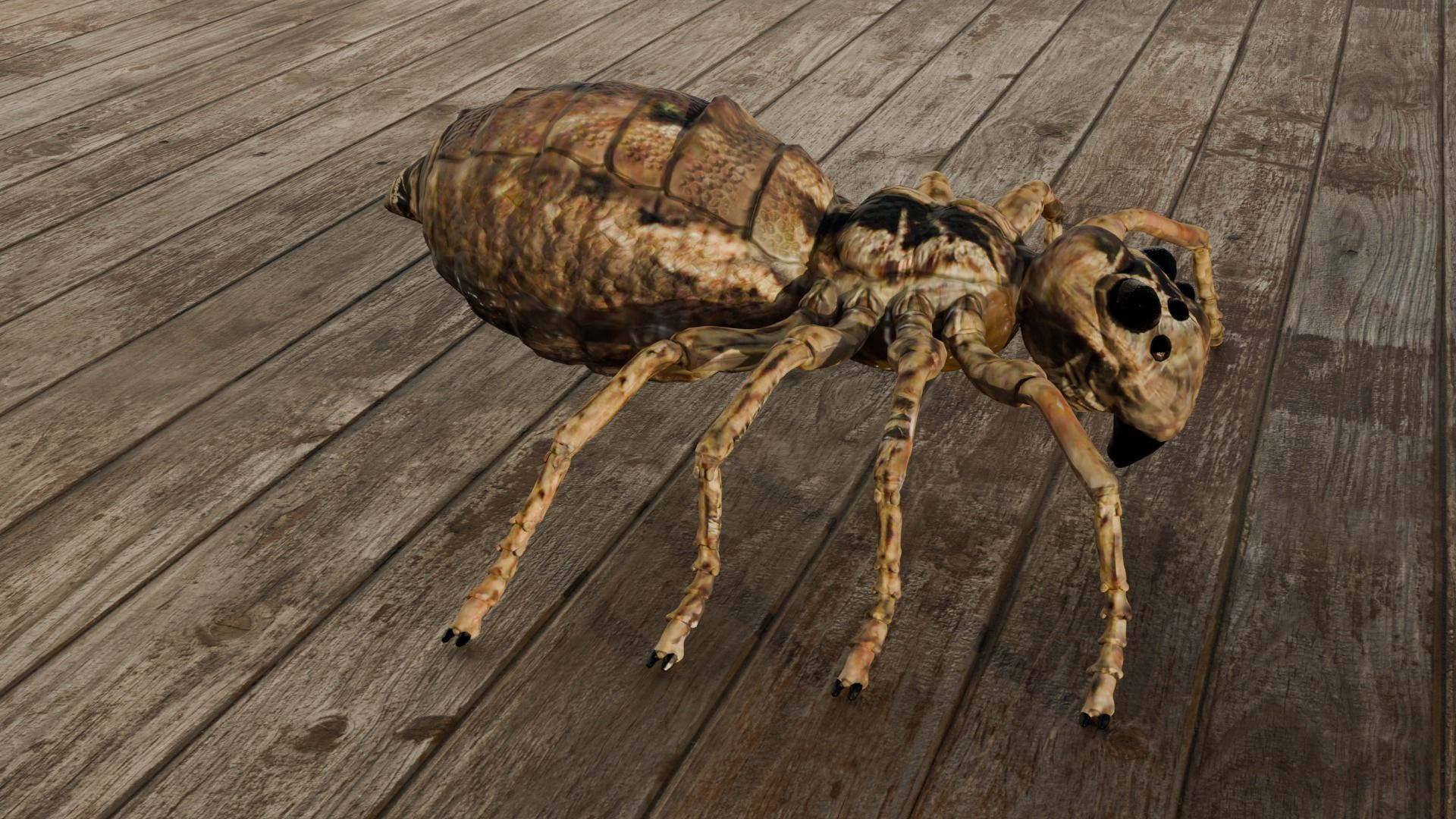 Spider Low-poly 3D model_5