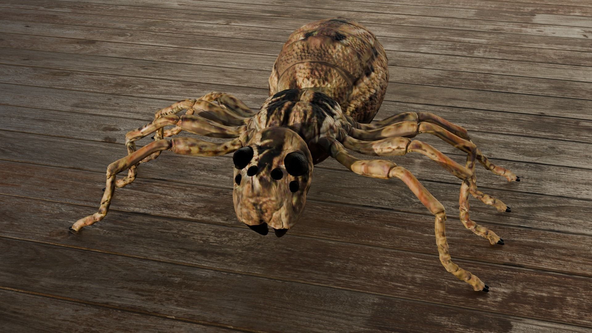 Spider Low-poly 3D model_4