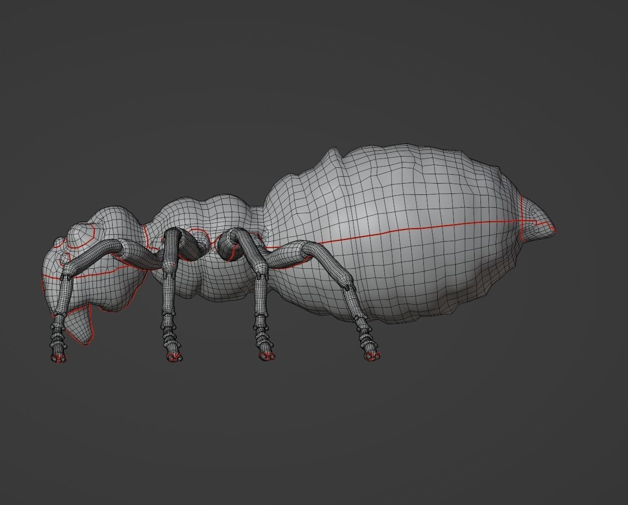 Spider Low-poly 3D model_11