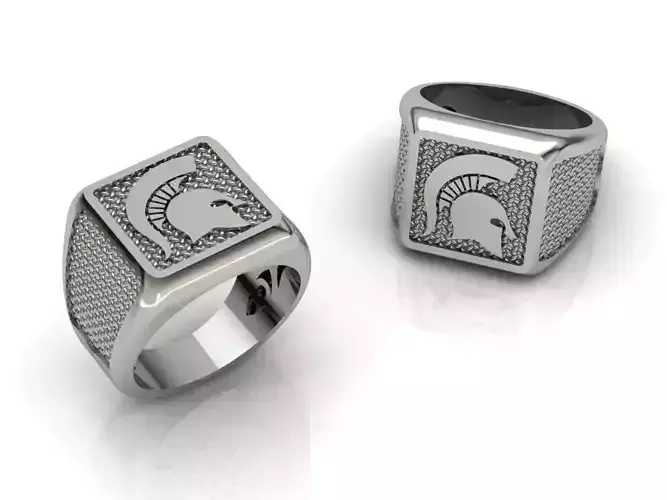 Sparta Ring 3D print model
