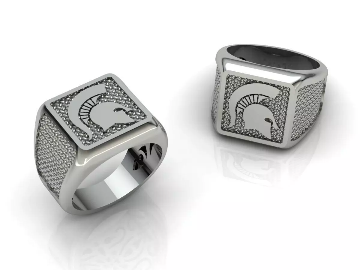 Sparta Ring 3D print model