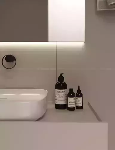Minimalistic Bathroom