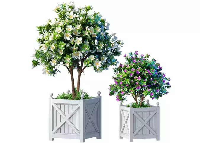 Decorative tree garden in planter pot decoration Provence style