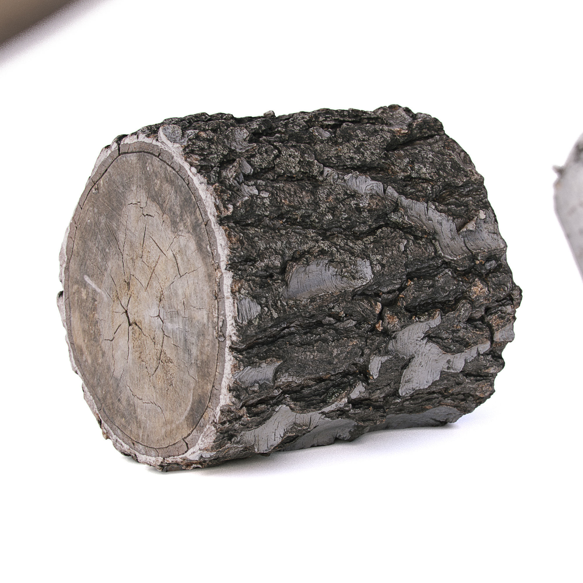 Stump with an ax 3D model_2