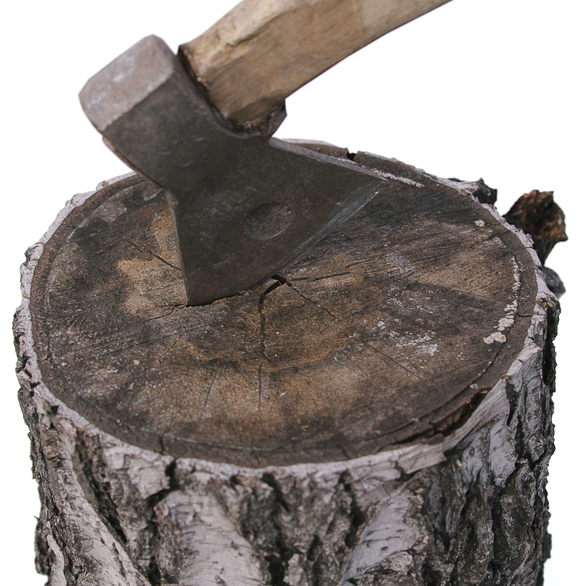 Stump with an ax 3D model_1