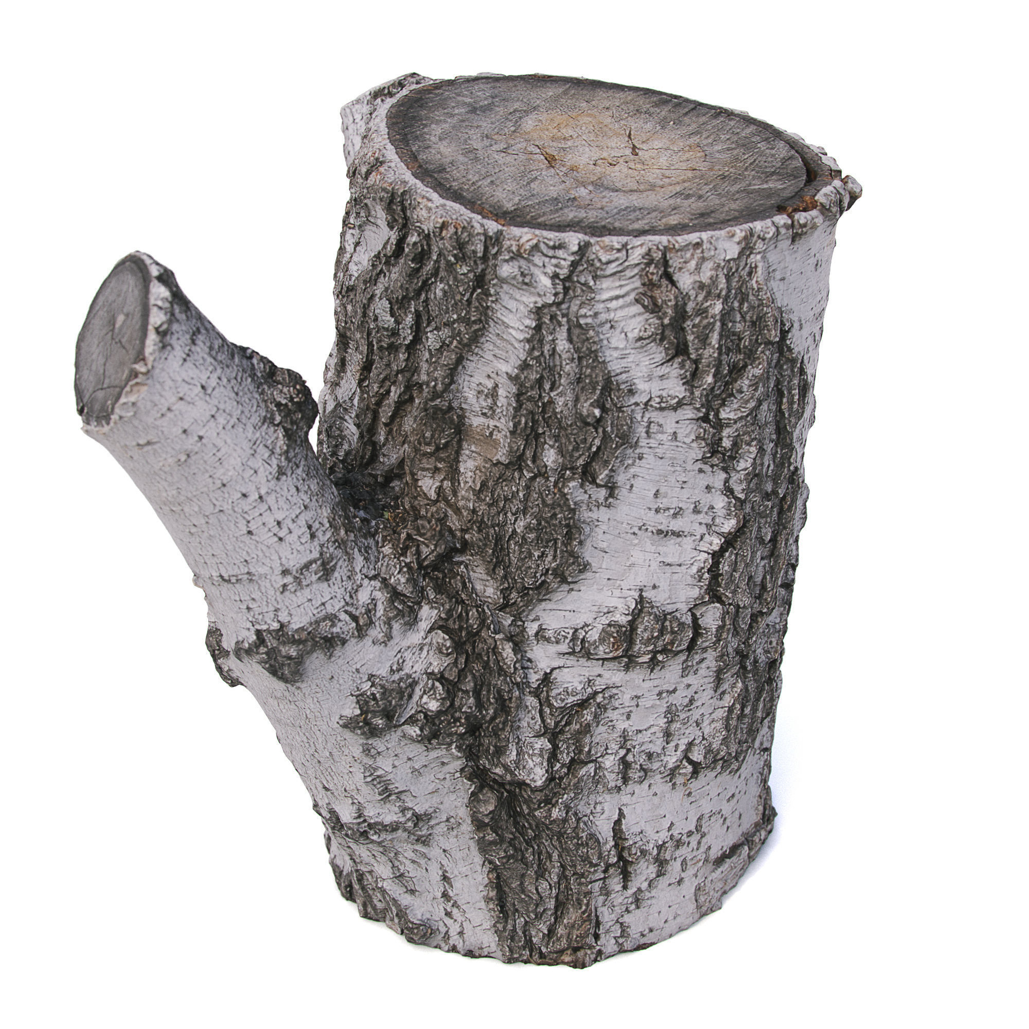 Stump with an ax 3D model_4