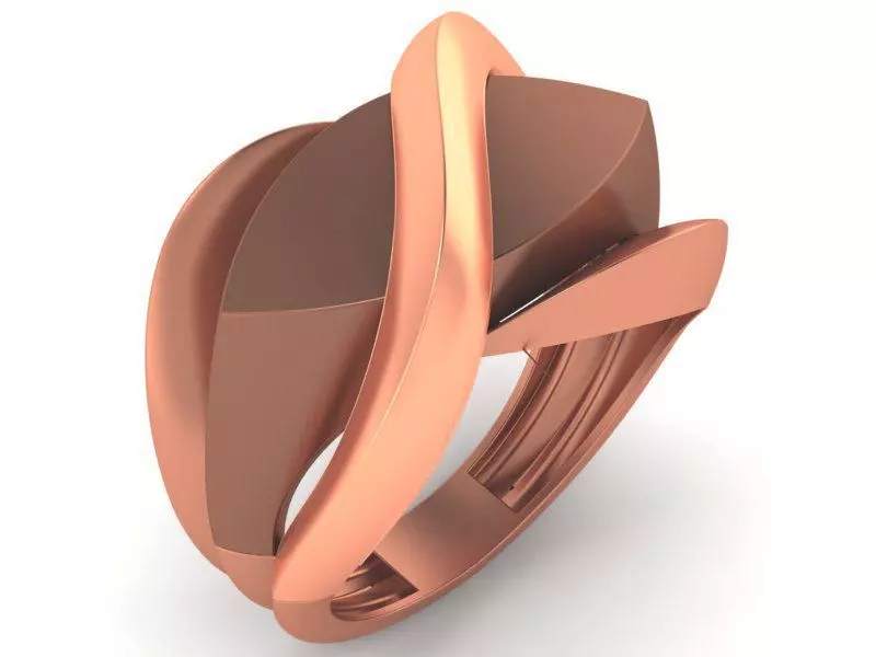 Curved Wire Mesh High Jewelry Plain Ring 3D print model