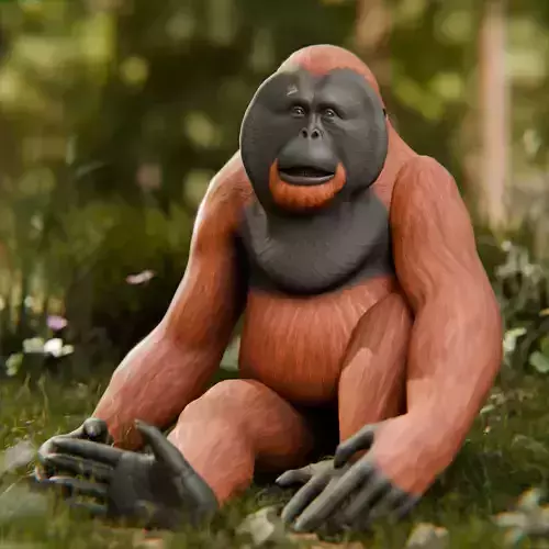 Orangutan Animal 3D Model Low-poly 3D model