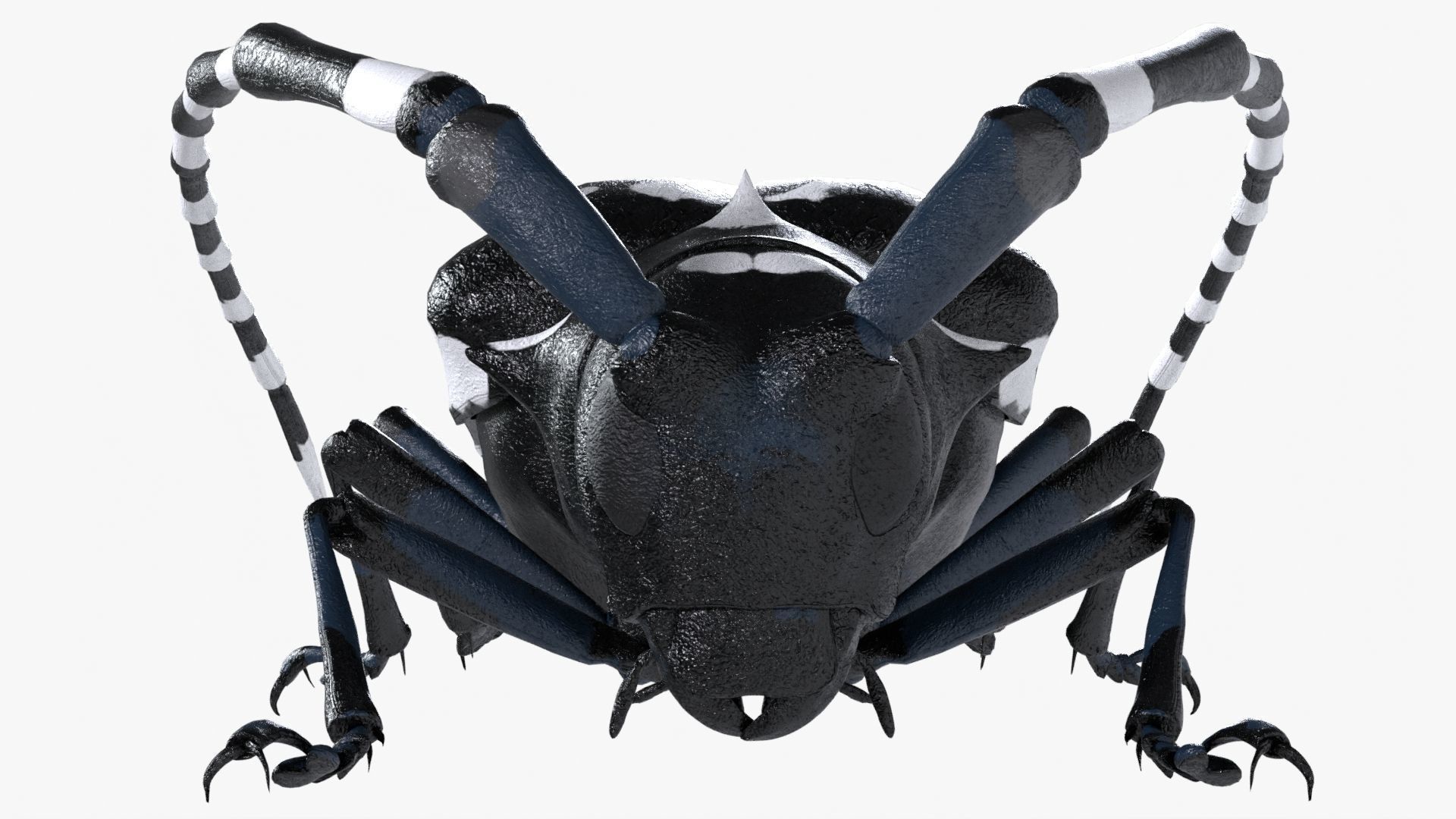 Realistic 4K Longhorn Beetle  Low-poly 3D model_1