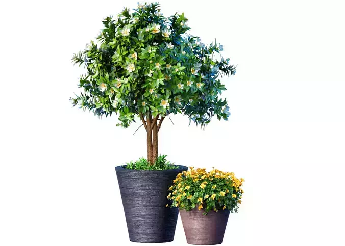 Decorative garden tree shrub flowerbed floor-mounted pot vase 